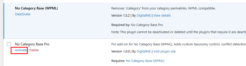 Activate PRO plugin